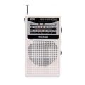 R-218 AM/FM/TV Radio Sound Pocket Receiver with Built-In Speaker Portable Radio FM:76.0-108.0MHz Internet Radio. 