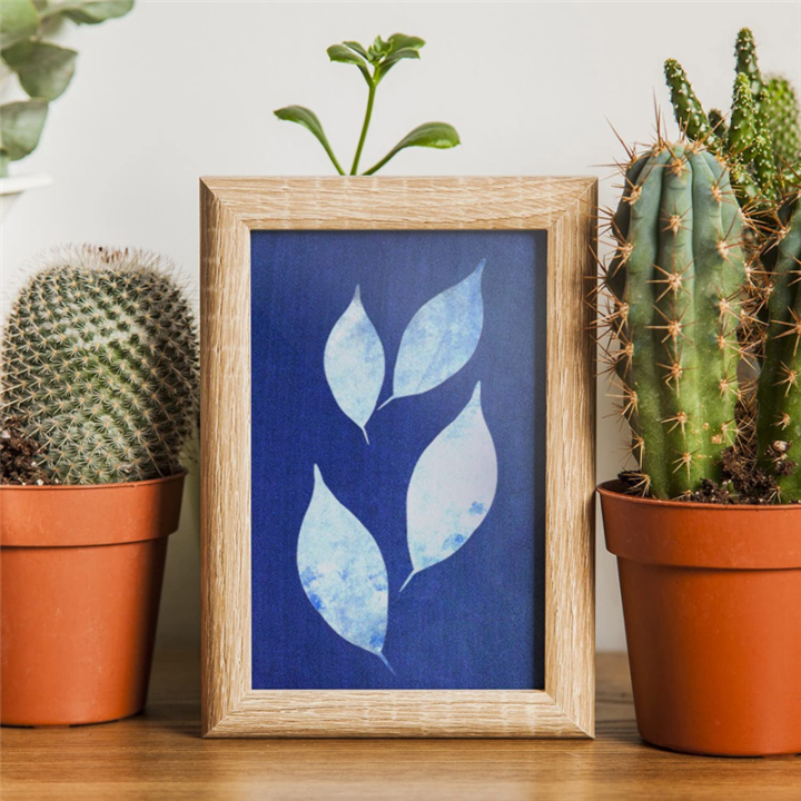 Sun%20Print%20Paper%20Kit%20Cyanotype%20Paper%20With%202%20Sheet%20Acrylic%20Panel%20Green%20For%20Arts%20Crafts%20DIY%20Project%20-%20Image%205