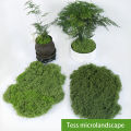 1PC DIY Artificial Fresh Green Moss Lawn Micro Landscape Silk Moss Wedding Centerpieces Garden Terrariums Decoration Fake Moss Natuo. 