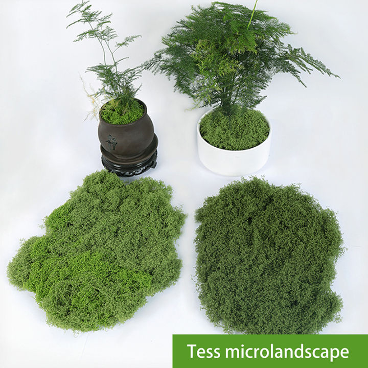 1PC%20DIY%20Artificial%20Fresh%20Green%20Moss%20Lawn%20Micro%20Landscape%20Silk%20Moss%20Wedding%20Centerpieces%20Garden%20Terrariums%20Decoration%20Fake%20Moss%20Natuo%20-%20Image%203