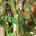 10pcs Plastic Tomato Plant Lock Clips Garden Clips for Fixed Greenhouse Agriculture Tomato Vine.