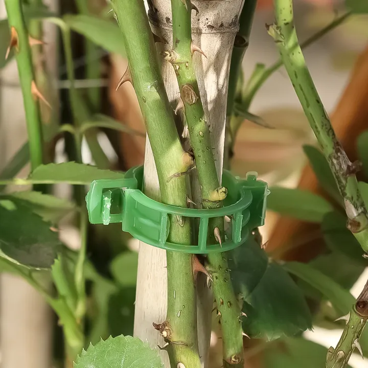 10pcs%20Plastic%20Tomato%20Plant%20Lock%20Clips%20Garden%20Clips%20for%20Fixed%20Greenhouse%20Agriculture%20Tomato%20Vine%20-%20Image%204