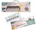 TONG LE QI 37 keys Electronic Musical Keyboard Piano with Microphone. 