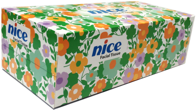 nice%20Perfumed%20Facial%20Tissue-Embossed%20-%20120%20Pcs%20x%202%20Ply/Box,%20S4:%208%20Boxes%20-%20Image%203