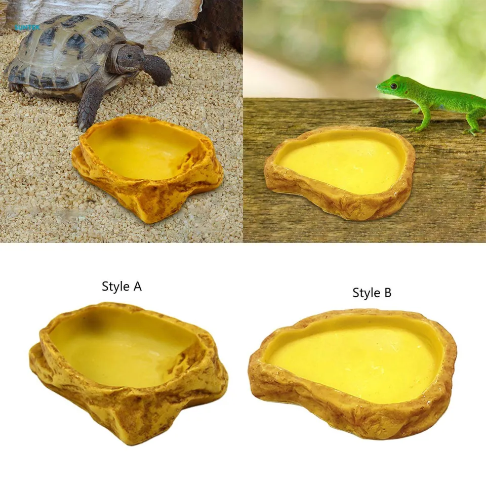 Reptile Water Bowl Food Feeding Bowl for Turtle Bearded Dragon