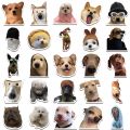 10/30/50pcs Kawaii Cat Dog Funny Animal Meme Stickers Cute Decals Decoration DIY Skateboard Scrapbook Laptop Fridge Car Kids Toy.