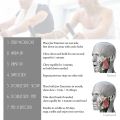Moving jawliner, pencil, chewing ball, fitness, facial, silicone, jawline, exerciser, jawline, chew, toner, face and neck muscle trainer, chin cheek transport.