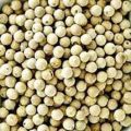 White Pepper - Gol Morich- 100 gm. 