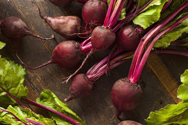 Beetroot%20Seed%20-%2003/06/10%20gram%20Seed%20-%20%E0%A6%AC%E0%A6%BF%E0%A6%9F%E0%A6%B0%E0%A7%81%E0%A6%9F%20/%20%E0%A6%AC%E0%A6%BF%E0%A6%9F%E0%A6%95%E0%A6%AA%E0%A6%BF%20%E0%A6%B2%E0%A6%BE%E0%A6%B2%20%E0%A6%AC%E0%A7%80%E0%A6%9F%20%E0%A6%8F%E0%A6%B0%20%E0%A6%AC%E0%A7%80%E0%A6%9C%20-%20Image%205
