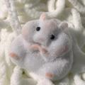 Taba Squishy Toy Mochi Toy Mushy Silicone Fuzzy Cute Hamster Handmade Squishy Toy Tabby Hamster Stress Release Hand Relax Gift.