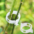 Plant Clip Supports Reusable Plastic Connects Fixing Vine Vegetable Plants Orchard and garden Tools.