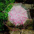 Thickening Transparent Three Fold Rain Umbrella Japanese Cherry Blossom Plastic PVC Clear Falbala Umbrellas Women parapluie. 