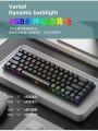 68 Keys Mechanical Keyboard FV-Q68 Wired Gaming Gaming RGB Illuminated Desktop Computer Portable Keyboard Batch. 