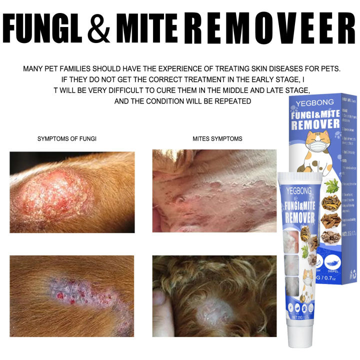 Pet%20skin%20care%20cream%20ringworm%20mite%20treatment%20remove%20fungus%20soothe%20itch%20skin%20allergies%20dermatitis%20relief%20cat%20mite%20removal%20ointment%20-%20Image%203