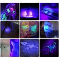 【Must-Have Gadgets】 395nm UV light flahlight Blacklight UB rechargeable LED flahlight. 