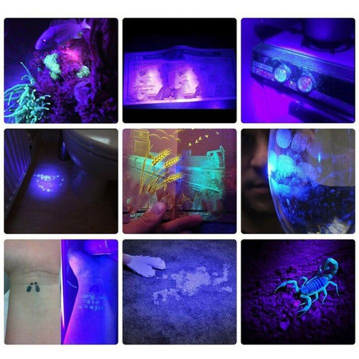 %E3%80%90Must-Have%20Gadgets%E3%80%91%20395nm%20UV%20light%20flahlight%20Blacklight%20UB%20rechargeable%20LED%20flahlight%20-%20Image%209