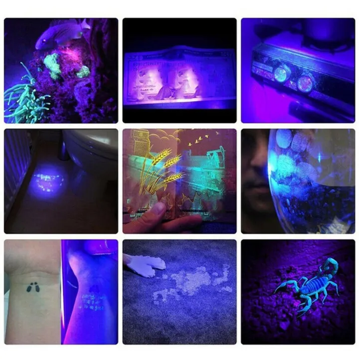 %E3%80%90Must-Have%20Gadgets%E3%80%91%20395nm%20UV%20light%20flahlight%20Blacklight%20UB%20rechargeable%20LED%20flahlight%20-%20Image%209
