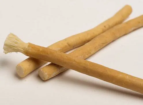 Natural%20Halal%20Toothbrush%20Miswak%20(2%20piece)%20%7C%7C%20AL-KHAIR%20MISWAK%20%7C%7C%20VACUUM%20PACKED%208"%20%7C%7C%20Herbal%20Toothbrush%20%7C%7C%20%20Natural%20Dental%20Care%20-%20Image%204