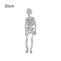 Portable Skull Prop Attractive Plastic Funny Halloween Luminous Skeleton Body Toy Sculpture for Festival. 