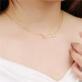 Genuine 925 Sterling Silver Safety Pin Necklace for Women Crystal Pin Shape Necklaces Charms Jewelry Necklace for Women Pendants.