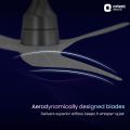 Orient Electric Aerosense BLDC 48" Ceiling Fan with Remote (Ash Wood).