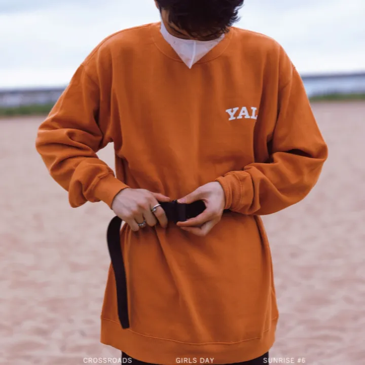 Large%20size%20Polo%20shirt%20Defective%20product%20processing%20YALE%20Harvard%20round%20neck%20sweater%20men's%20autumn%20and%20winter%20trendy%20brand%20loose%20pullover%20plus%20velvet%20couple%20flocking%20top%20Eurocode%20-%20Image%206