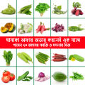 ২০ ধরণের সবজি ও মসলার কম্বো প্যাক বীজ (ধনিয়া,শসা,কুমড়া,লাউ,টমেটো,করলা,বেগুন,মুলা,বীটরুট,লালশাক,পুঁইশাক,পালংশাক,পেঁপে,পিঁয়াজ,মরিচ,জালিকুমড়া,ফুলকপি,ঢেড়স,চিচিঙ্গা,ধুন্দল). 