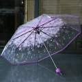 New Transparent Flower Design Folding Women Fashion Umbrella. 