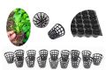Germination cup-Hydroponic cup 50 pcs. 