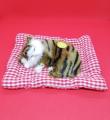 Sleeping Cat Simulation Toy.