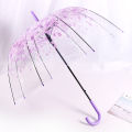 Outdoor Korean Umbrella Folding Cute Korean Mini Fresh Simple Sen Series Trifold Cherry Blossom Transparent Japanese Umbrella Moonlight Shines.