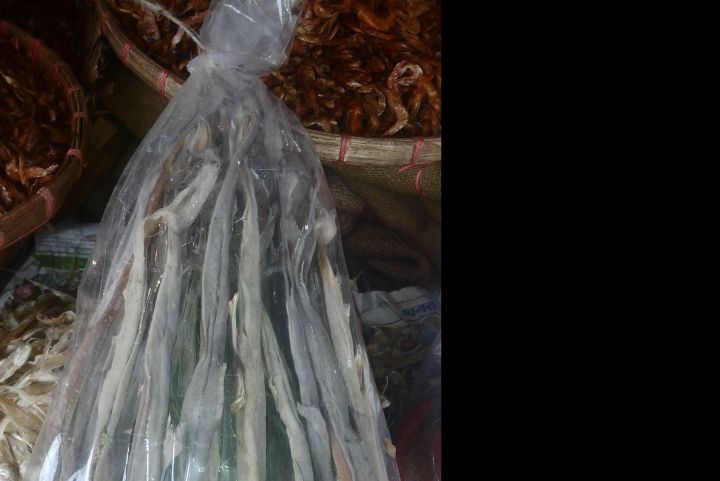 Baby%20shark%20dry%20Fish-500%20gm%20-%20Image%203