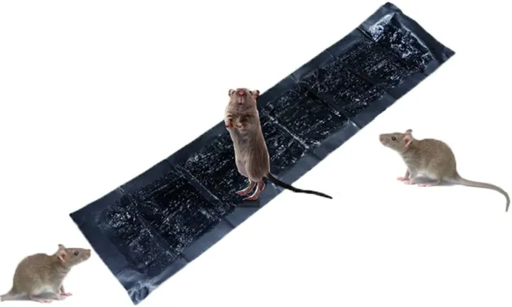 Large%20Mouse%20Gel%20Glue%20Killer%20Board%20Mousetrap1.2m%20length%20large%20mouse%20pest%20control%20for%20house%20-%20Image%203