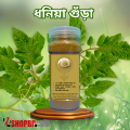 Coriander Powder Spices for Cooking. 