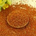 Red Millet Bird seed Bird food 1kg. 