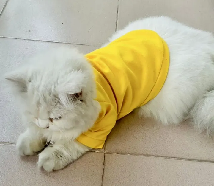 Cat%20Dress%20Pet%20Clothes%20Sphynx%20Kedi%20Elbisesi%20-%20Image%203