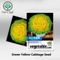 Green Yellow Cabbage Seed intact packet 1000+ seed Imported Hybrid Seed 5 grams. 