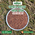 Amader Lal Amon Chal Rich in Fiber Unpolished Natural Rice 5kg.