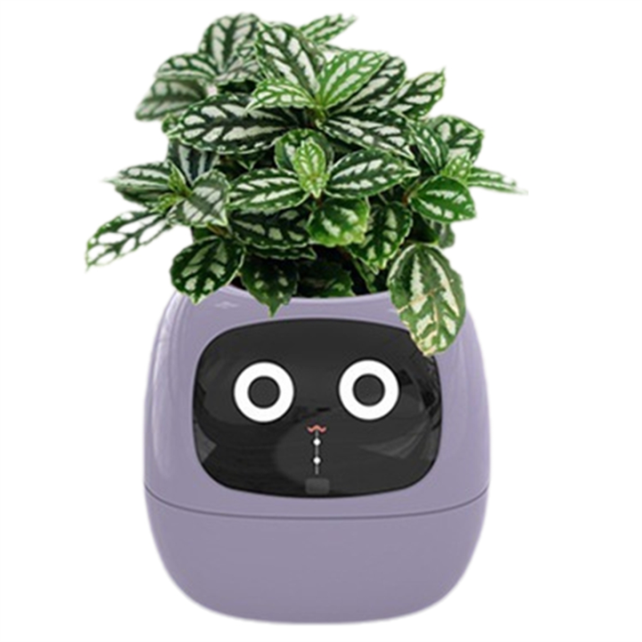 Ivy%20Smart%20Planter,USB%20Rechargeable%20Indoor%20Small%20Flower%20Pot%20White%20-%20Image%203