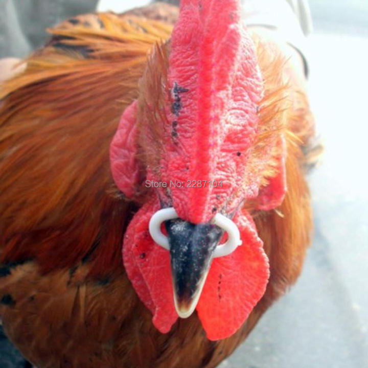 50pcs%20S%20M%20L%20size%20Chicken%20Beak%20Clasp%20Fasan%20Mouth%20Snap%20Ring%20Replace%20Peepers%20Eye%20Glasses%20Blinders%20Spectacles%20Anti-pecking%20Feed%20-%20Image%202