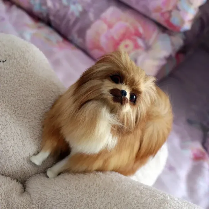 27cm%20Pomeranian%20Dog%20Simulation%20Plush%20Toys%20Lifelike%20Dogs%20Stuffed%20Animal%20Dolls%20Kawaii%20Toys%20for%20Children%20Birthday%20Christmas%20Gift%20-%20Image%203