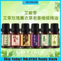10ml Essential Oil Diffuser – Aromatherapy Fragrance for Massage & Scraping Therapy | Relaxation & Wellness. 