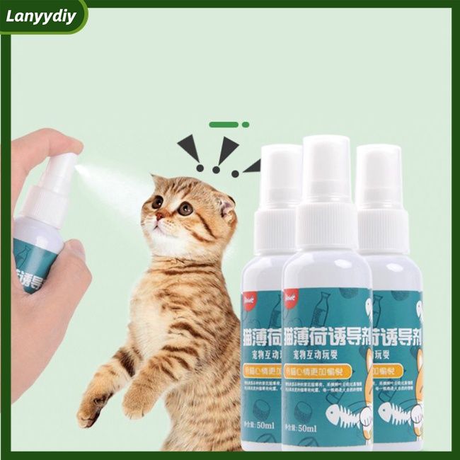 gd%20Cat%20Catnip%20Spray%20Natural%20Healthy%20Safe%20Long-term%20Effect%20Scratching%20Pad%20Inducer%20Pet%20Training%20Toy%20-%20Image%205