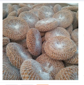 Scrubber Organic Round Shower Loofah & Bath Sponge - Body Brush.