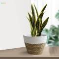 Woven Planter , with Liners Organizer Containers Boho Pots for Farmhouse Picnic Laundry Ornament , S.