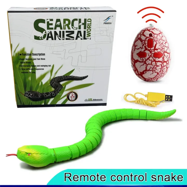 RC%20Remote%20Control%20Snake%20Toy%20For%20Cat%20Kitten%20Egg-shaped%20Controller%20Rattlesnake%20Interactive%20Snake%20Cat%20Teaser%20Play%20Toy%20Game%20Pet%20Kid%20-%20Image%202