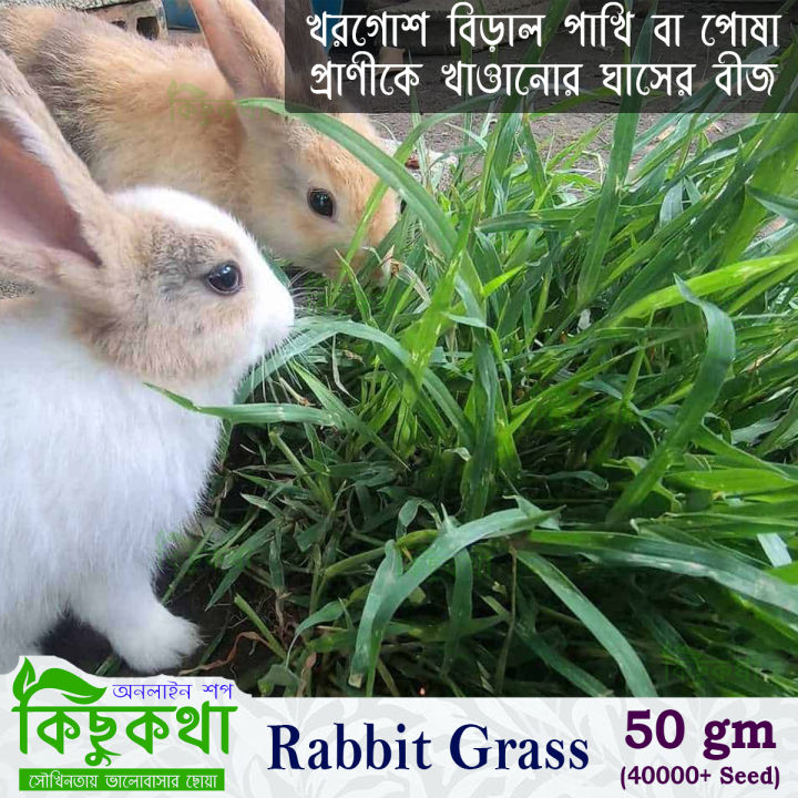 Rabbit%20Grass%20Seed%20-%2010/20/50%20Gram%20Seed%20For%20Rabbit%20Cat%20and%20Other%20Animal%20Eating%20Grass%20-%20Image%207
