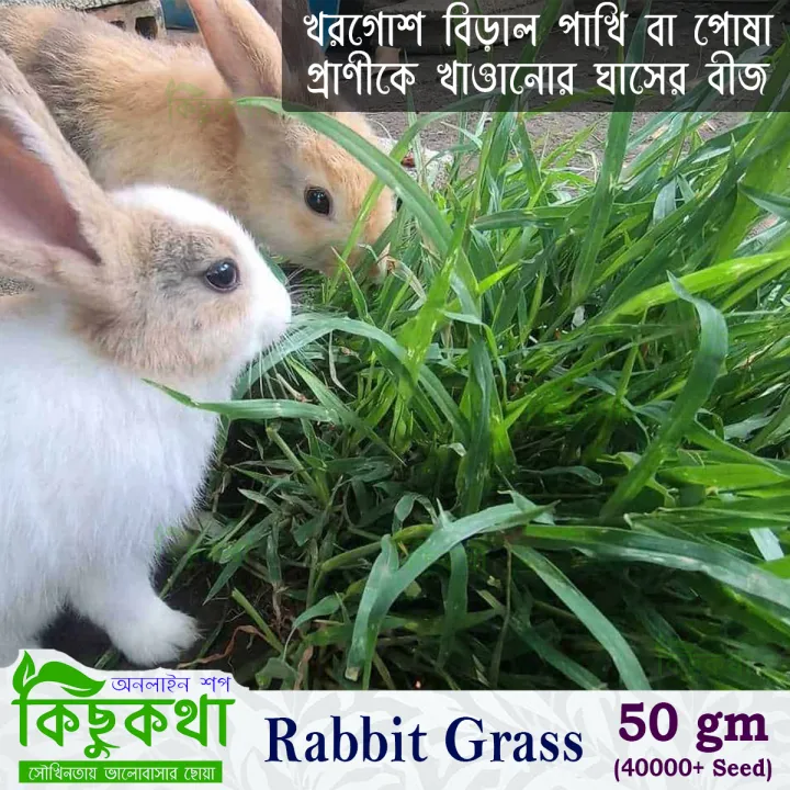 Rabbit%20Grass%20Seed%20-%2010/20/50%20Gram%20Seed%20For%20Rabbit%20Cat%20and%20Other%20Animal%20Eating%20Grass%20-%20Image%207
