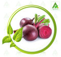 Hybrid Beetroot Vegetable Seed (Re-Packet) - 2 gm. 