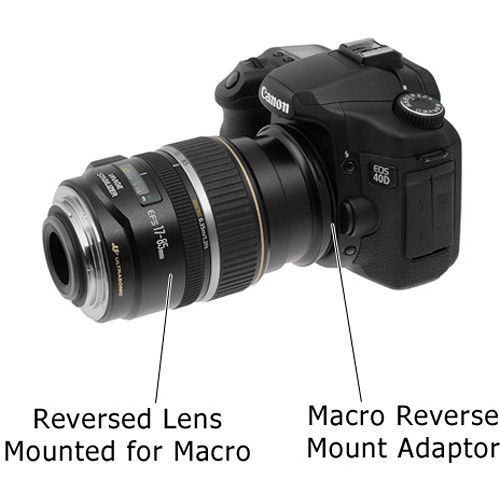 YE%2067mm%20Reverse%20Mount%20Macro%20Adapter%20Ring%20for%20Canon%20EF-Mount%20Cameras%20-%20Image%202